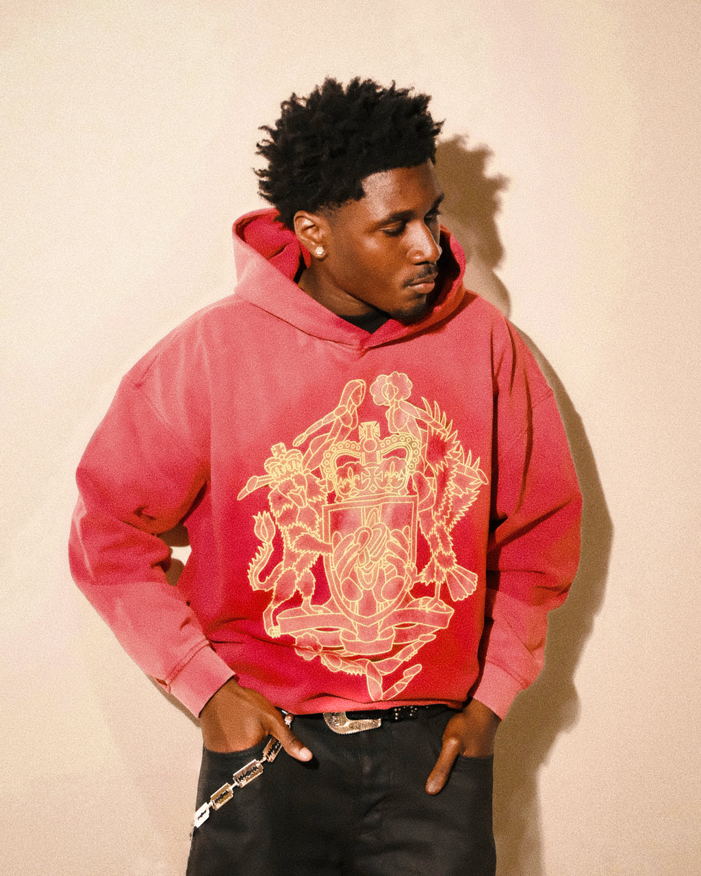 crest hoodie